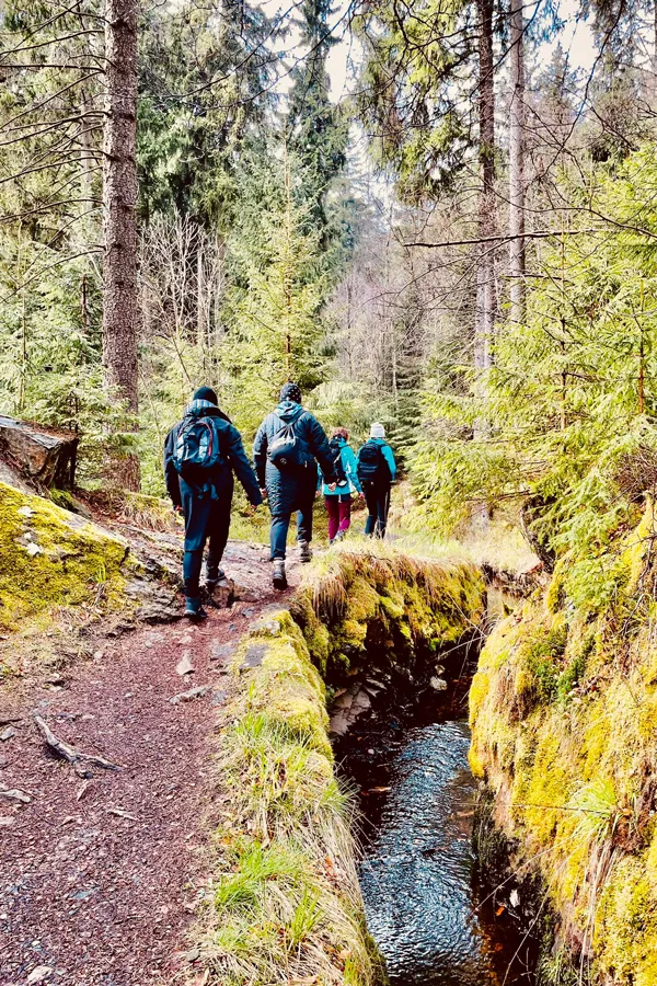 cornelia-kunz_fastenkurs-fastenwanderung-gruener-graben