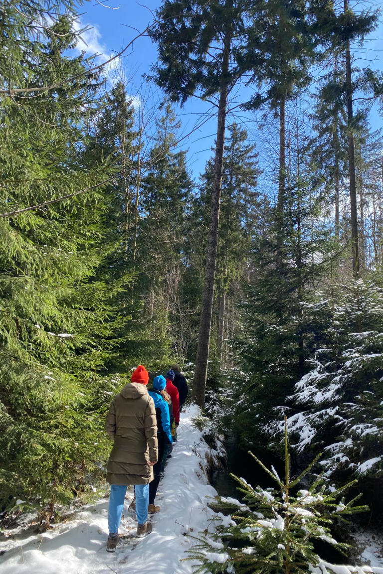 winter-wanderung-02-scaled