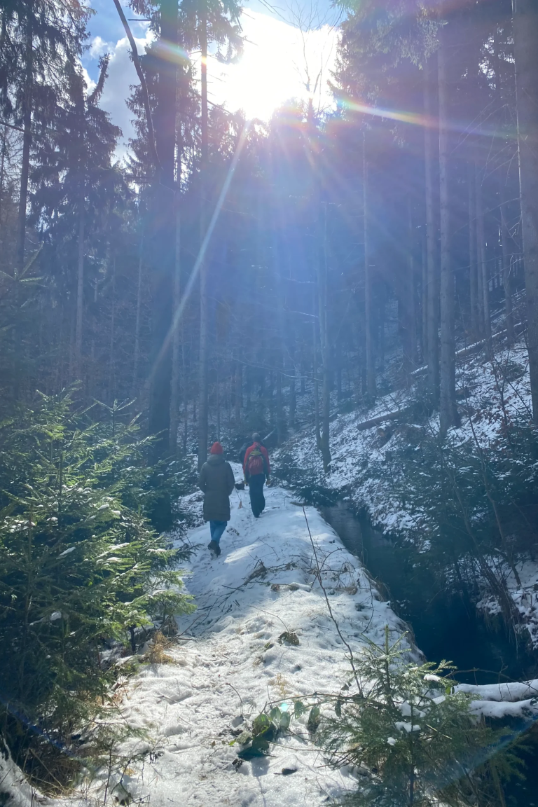 winter-wanderung-scaled